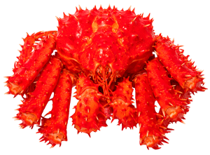 Rode king crab