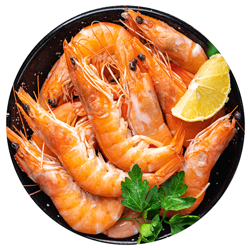 Norwegian Lobster - Image 2
