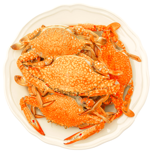 Krab uit de